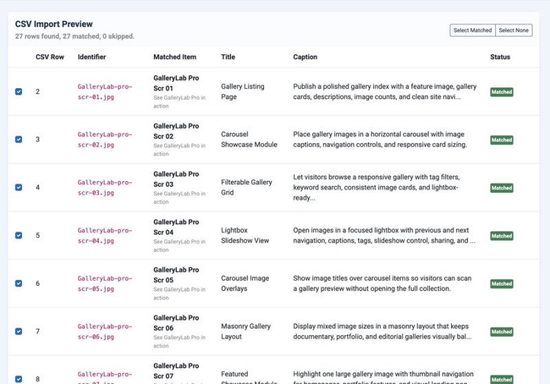 GalleryLab Pro CSV import preview showing matched rows, identifiers, target media records, captions, and status badges.